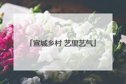 宣城乡村 艺里艺气
