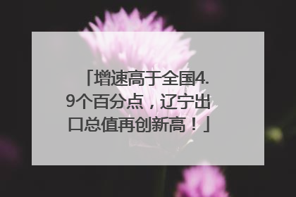 增速高于全国4.9个百分点，辽宁出口总值再创新高！