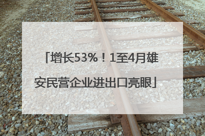 增长53%！1至4月雄安民营企业进出口亮眼