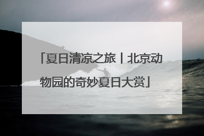 夏日清凉之旅丨北京动物园的奇妙夏日大赏