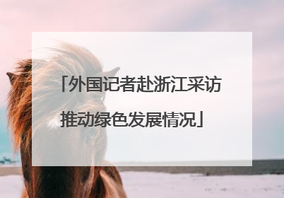 外国记者赴浙江采访推动绿色发展情况