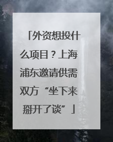 外资想投什么项目？上海浦东邀请供需双方“坐下来掰开了谈”