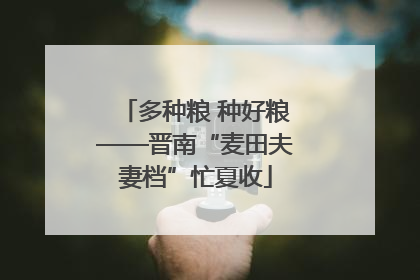 多种粮 种好粮——晋南“麦田夫妻档”忙夏收