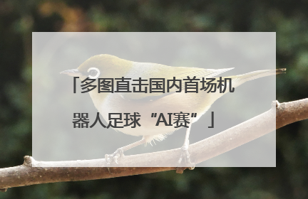 多图直击国内首场机器人足球“AI赛”