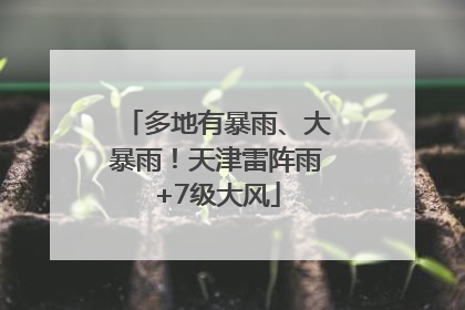 多地有暴雨、大暴雨！天津雷阵雨+7级大风