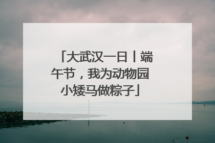大武汉一日丨端午节，我为动物园小矮马做粽子