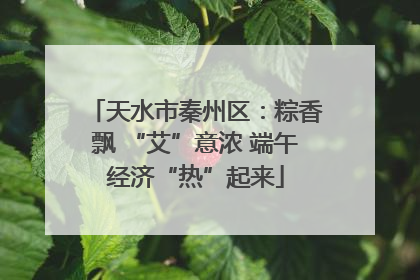 天水市秦州区：粽香飘 “艾”意浓 端午经济“热”起来