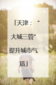 天津：“大城三管”提升城市气质