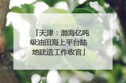 天津：渤海亿吨级油田海上平台陆地建造工作收官