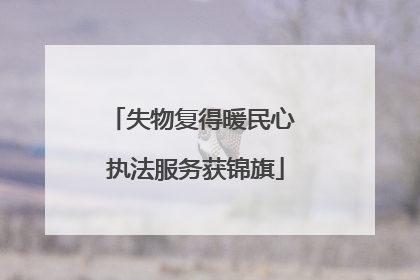 失物复得暖民心 执法服务获锦旗