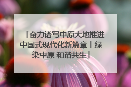 奋力谱写中原大地推进中国式现代化新篇章丨绿染中原 和谐共生