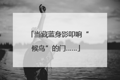 当藏蓝身影叩响“候鸟”的门……