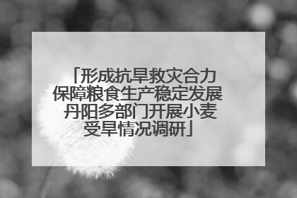 形成抗旱救灾合力 保障粮食生产稳定发展 丹阳多部门开展小麦受旱情况调研