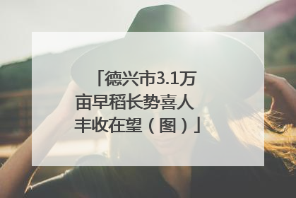 德兴市3.1万亩早稻长势喜人 丰收在望（图）