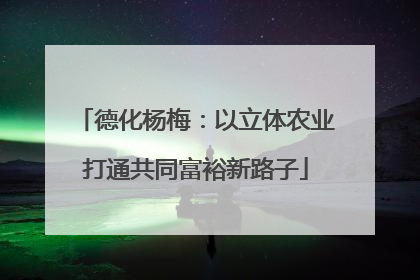 德化杨梅：以立体农业打通共同富裕新路子