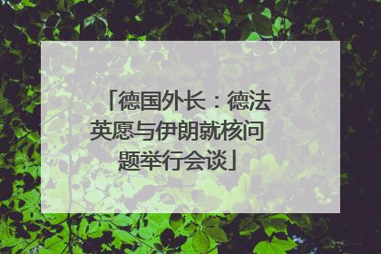 德国外长：德法英愿与伊朗就核问题举行会谈