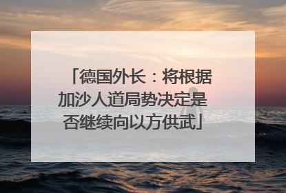 德国外长：将根据加沙人道局势决定是否继续向以方供武