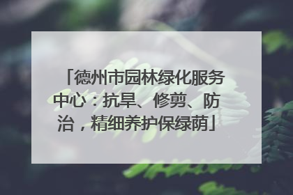 德州市园林绿化服务中心：抗旱、修剪、防治，精细养护保绿荫
