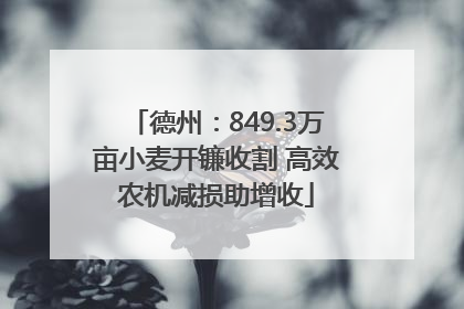 德州：849.3万亩小麦开镰收割 高效农机减损助增收