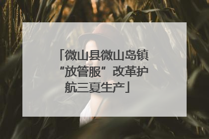 微山县微山岛镇“放管服”改革护航三夏生产