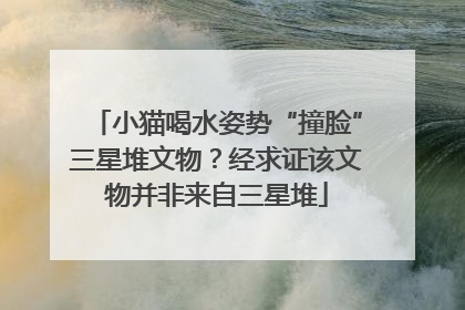 小猫喝水姿势“撞脸”三星堆文物？经求证该文物并非来自三星堆