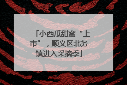 小西瓜甜蜜“上市”，顺义区北务镇进入采摘季