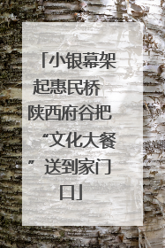 小银幕架起惠民桥 陕西府谷把“文化大餐”送到家门口