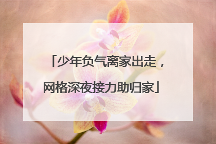 少年负气离家出走，网格深夜接力助归家