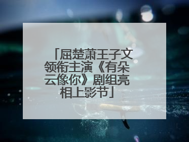 屈楚萧王子文领衔主演《有朵云像你》剧组亮相上影节