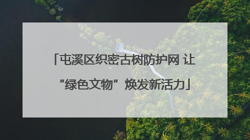 屯溪区织密古树防护网 让“绿色文物”焕发新活力