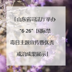 山东省司法厅举办“6·26”国际禁毒日主题宣传暨优秀戒治成果展示
