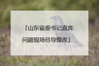 山东省委书记直奔问题现场督导整改
