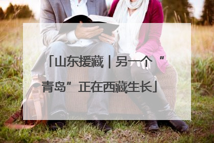 山东援藏｜另一个“青岛”正在西藏生长