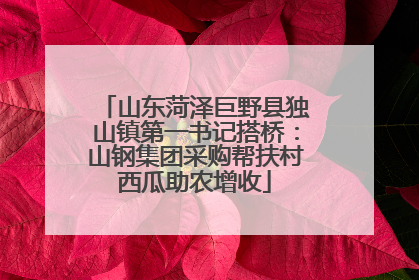 山东菏泽巨野县独山镇第一书记搭桥：山钢集团采购帮扶村西瓜助农增收