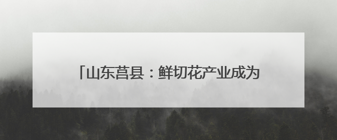山东莒县：鲜切花产业成为当地农业增效、农民增收的重要产业发展和特色品牌