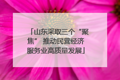 山东采取三个“聚焦” 推动民营经济服务业高质量发展