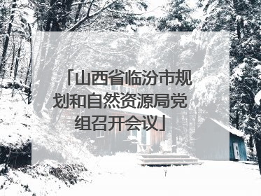 山西省临汾市规划和自然资源局党组召开会议