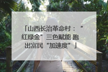 山西长治革命村：“红绿金”三色赋能 跑出富民“加速度”