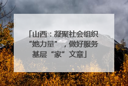 山西：凝聚社会组织“她力量”，做好服务基层“家”文章