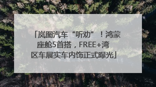 岚图汽车“听劝”！鸿蒙座舱5首搭，FREE+湾区车展实车内饰正式曝光
