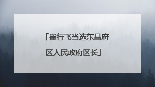 崔行飞当选东昌府区人民政府区长