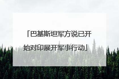 巴基斯坦军方说已开始对印展开军事行动