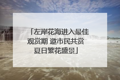左岸花海进入最佳观赏期 邀市民共赏夏日繁花盛景