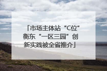 市场主体站“C位” 衡东“一区三园”创新实践被全省推介