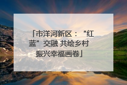 市洋河新区：“红蓝”交融 共绘乡村振兴幸福画卷