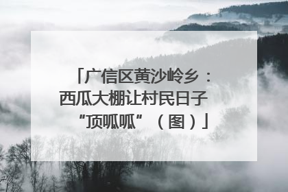 广信区黄沙岭乡：西瓜大棚让村民日子“顶呱呱”（图）