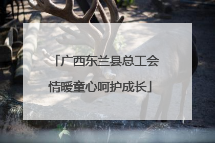 广西东兰县总工会情暖童心呵护成长