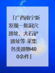 广西南宁新发现一批洞穴遗址、大石铲遗址等 采集各类遗物400余件