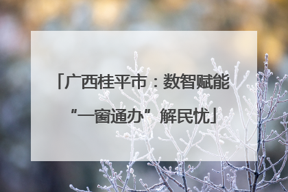 广西桂平市：数智赋能“一窗通办”解民忧