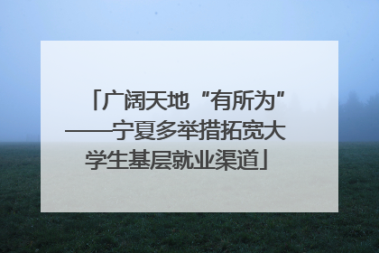 广阔天地“有所为”——宁夏多举措拓宽大学生基层就业渠道